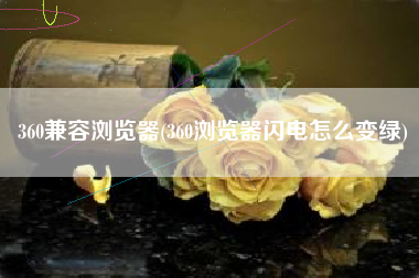 360兼容浏览器(360浏览器闪电怎么变绿)