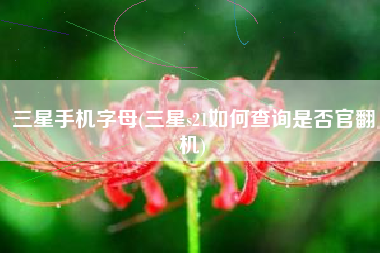 三星手机字母(三星s21如何查询是否官翻机)