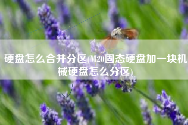 硬盘怎么合并分区(M20固态硬盘加一块机械硬盘怎么分区)