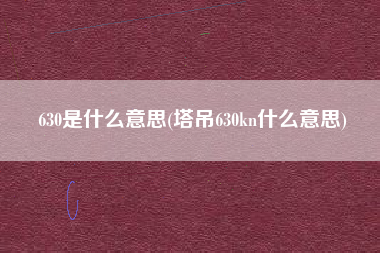 630是什么意思(塔吊630kn什么意思)