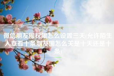 微信朋友圈权限怎么设置三天(允许陌生人查看十条朋友圈怎么关是十天还是十条)