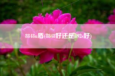8848u盾(8848好还是a92s好)
