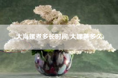 大海螺煮多长时间(大螺蒸多久)
