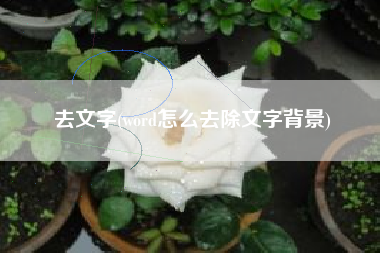 去文字(word怎么去除文字背景)