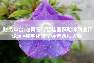 财务中台(如何看待碧桂园获哈佛商业评论2019数字化转型评选两项大奖)