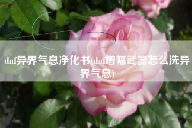 dnf异界气息净化书(dnf增幅武器怎么洗异界气息)