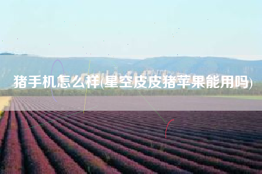 猪手机怎么样(星空皮皮猪苹果能用吗)