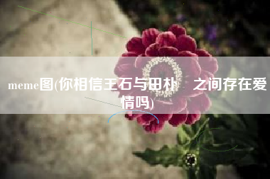 meme图(你相信王石与田朴珺之间存在爱情吗)