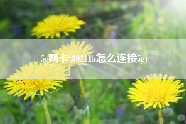 5g网卡(80211b怎么连接5g)