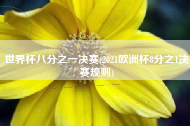 世界杯八分之一决赛(2021欧洲杯8分之1决赛规则)