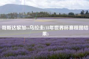 哥斯达黎加vs乌拉圭(18年世界杯赛程图结果)