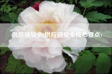 供应链安全(供应链安全核心要点)