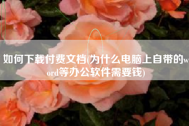 如何下载付费文档(为什么电脑上自带的word等办公软件需要钱)