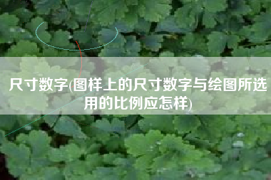 尺寸数字(图样上的尺寸数字与绘图所选用的比例应怎样)