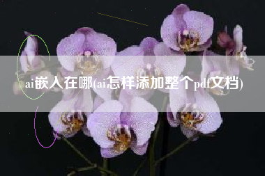 详细阅读:ai嵌入在哪(ai怎样添加整个pdf文档) ai嵌入在哪(ai怎样添加整个pdf文档)