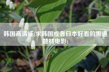 韩国高清线(求韩国或者日本好看的黑道题材电影)
