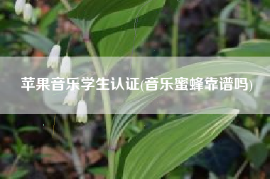 苹果音乐学生认证(音乐蜜蜂靠谱吗)