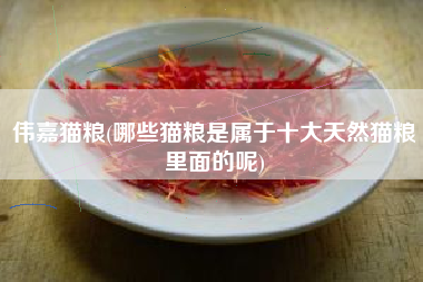 伟嘉猫粮(哪些猫粮是属于十大天然猫粮里面的呢)
