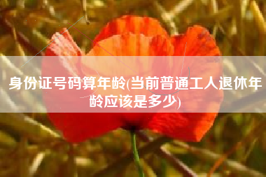 身份证号码算年龄(当前普通工人退休年龄应该是多少)