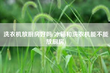 洗衣机放厨房好吗(冰箱和洗衣机能不能放厨房)
