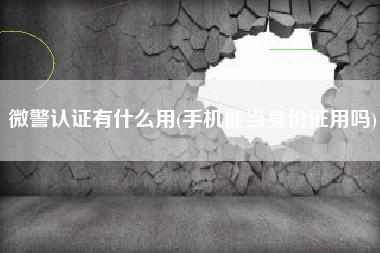 微警认证有什么用(手机能当身份证用吗)