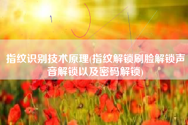 指纹识别技术原理(指纹解锁刷脸解锁声音解锁以及密码解锁)