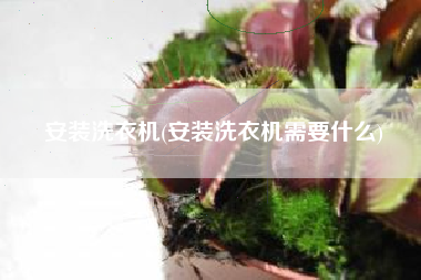 安装洗衣机(安装洗衣机需要什么)
