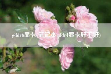gddr6显卡(笔记本gddr4显卡好不好)