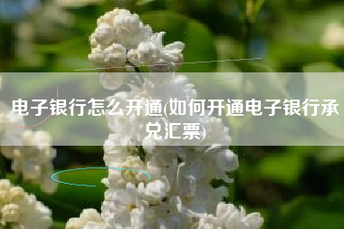 电子银行怎么开通(如何开通电子银行承兑汇票)