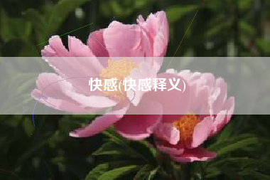 快感(快感释义)