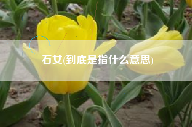 石女(到底是指什么意思)