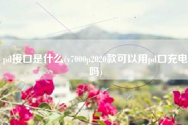 pd接口是什么(y7000p2020款可以用pd口充电吗)