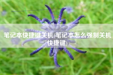 笔记本快捷键关机(笔记本怎么强制关机快捷键)