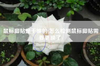详细阅读:鼠标脚贴是干嘛的(怎么检测鼠标脚贴需要更换了) 鼠标脚贴是干嘛的(怎么检测鼠标脚贴需要更换了)