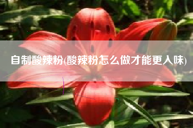 自制酸辣粉(酸辣粉怎么做才能更入味)
