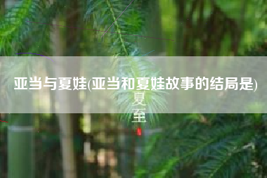 亚当与夏娃(亚当和夏娃故事的结局是)
