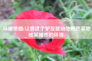 环境地图(让我这个驴友能给地熟悉某地或某城市的环境)