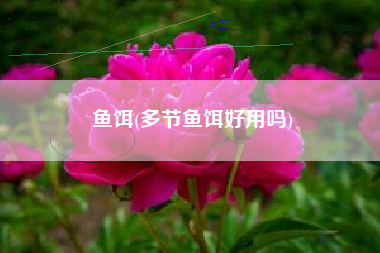 鱼饵(多节鱼饵好用吗)
