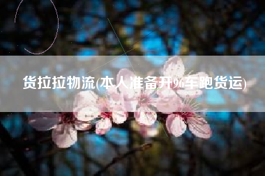 货拉拉物流(本人准备开96车跑货运)