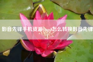 影音先锋手机资源(mp4怎么转换影音先锋)