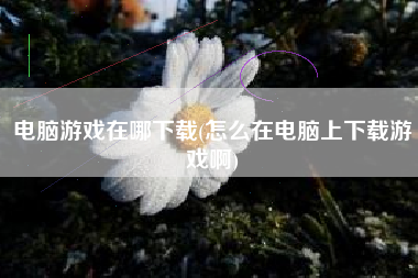 电脑游戏在哪下载(怎么在电脑上下载游戏啊)