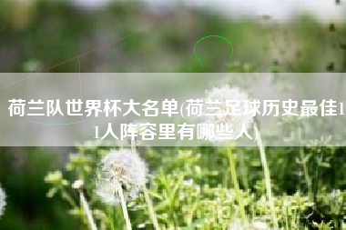 荷兰队世界杯大名单(荷兰足球历史最佳11人阵容里有哪些人)