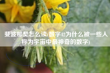 斐波那契怎么读(数字42为什么被一些人称为宇宙中最神奇的数字)