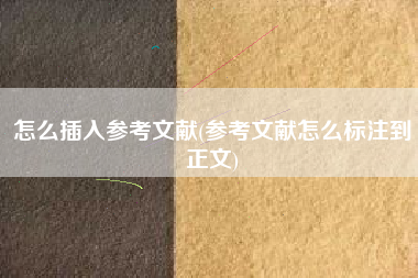怎么插入参考文献(参考文献怎么标注到正文)