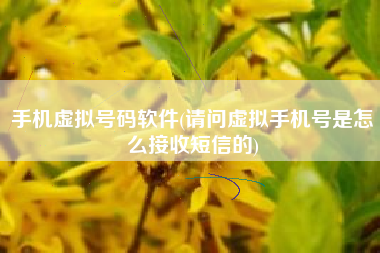 手机虚拟号码软件(请问虚拟手机号是怎么接收短信的)