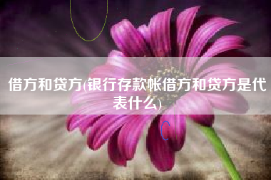 借方和贷方(银行存款帐借方和贷方是代表什么)