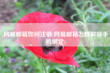 网易邮箱如何注销(网易邮箱怎样解除手机绑定)