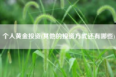 个人黄金投资(其他的投资方式还有哪些)