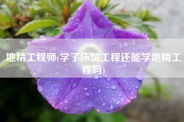 地精工程师(学了侏儒工程还能学地精工程吗)