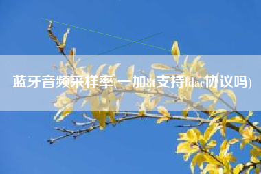 蓝牙音频采样率(一加8t支持ldac协议吗)